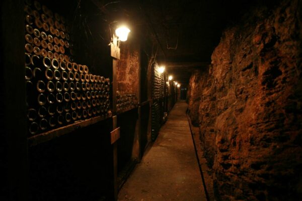 Chateau Musar Cave